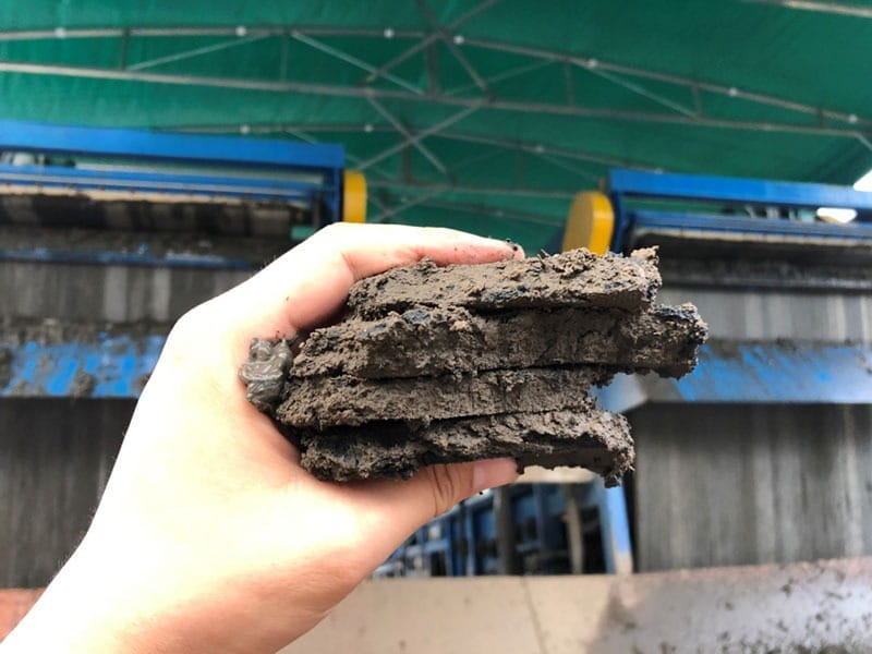 what is filter press cake